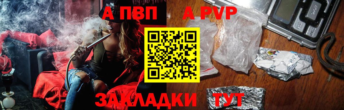 A PVP СК КРИС Обь