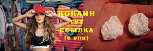 соль ск Нея