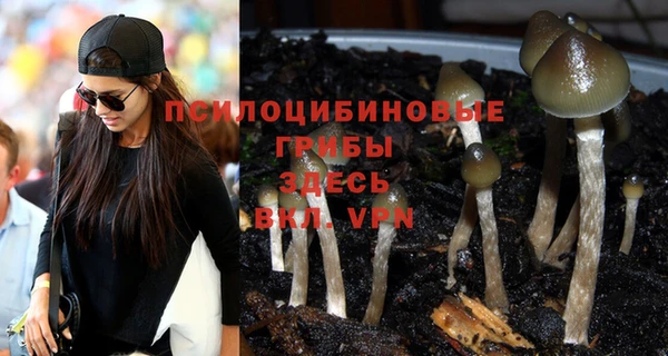 молекула духа Вязьма