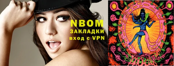 молекула духа Вязьма