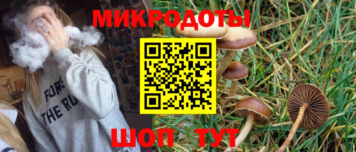 Галлюциногенные грибы Magic Shrooms Обь